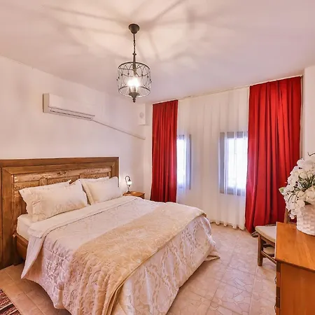 Alina Patara فيلة Gelemiş