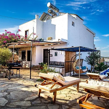Alina Patara Villa Gelemis