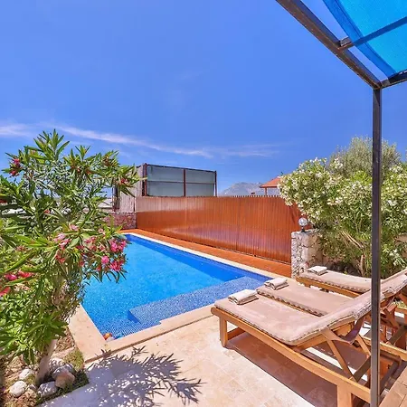 Alina Patara Gelemis