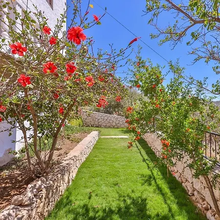 Alina Patara Villa Gelemis